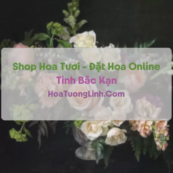 Shop Hoa Tươi Tại Bắc Kạn - Điện Hoa Tận Nơi