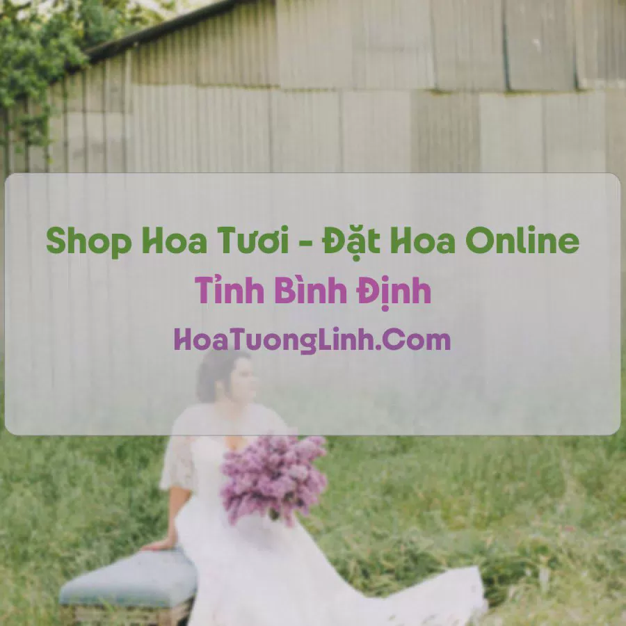 Shop Hoa Tươi Tại Bình Định - Điện Hoa Tận Nơi