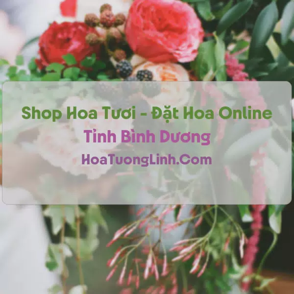Shop Hoa Tươi Tại Bình Dương - Điện Hoa Tận Nơi