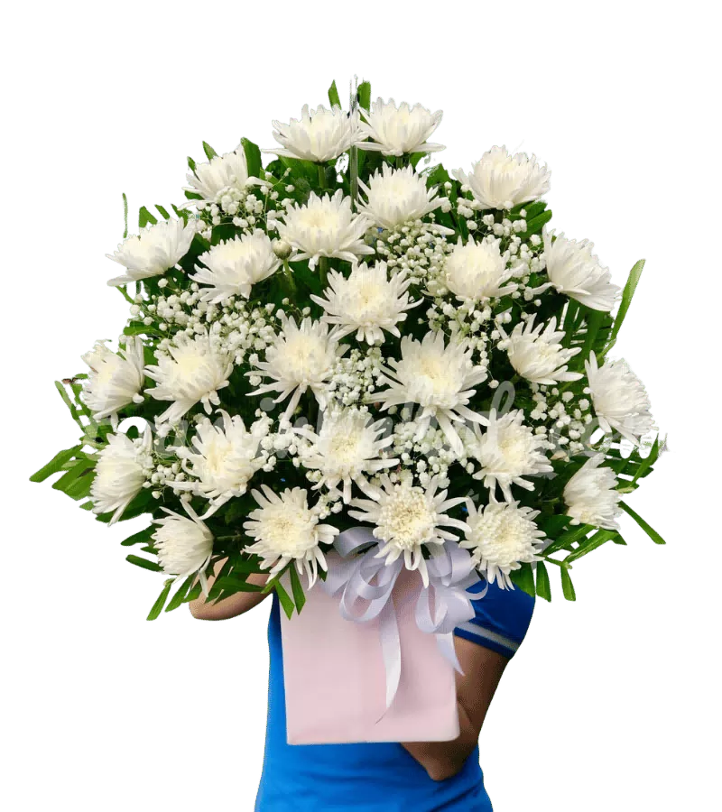 Bó hoa cúc trắng chia buồn