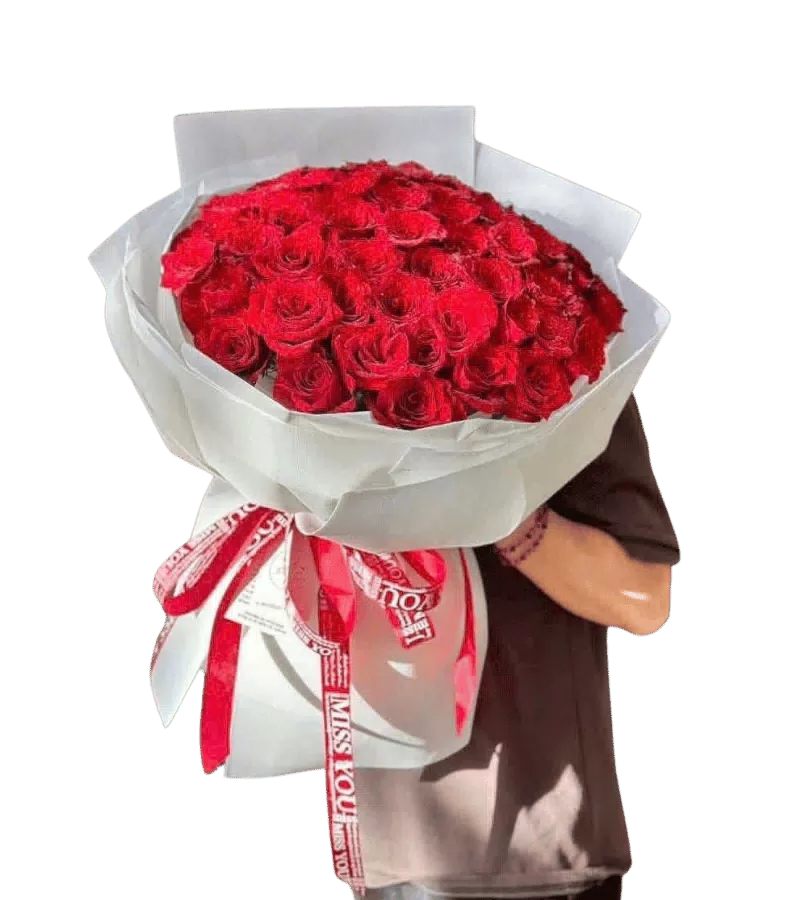 Bó hoa hồng đỏ gói trắng dải ruy băng