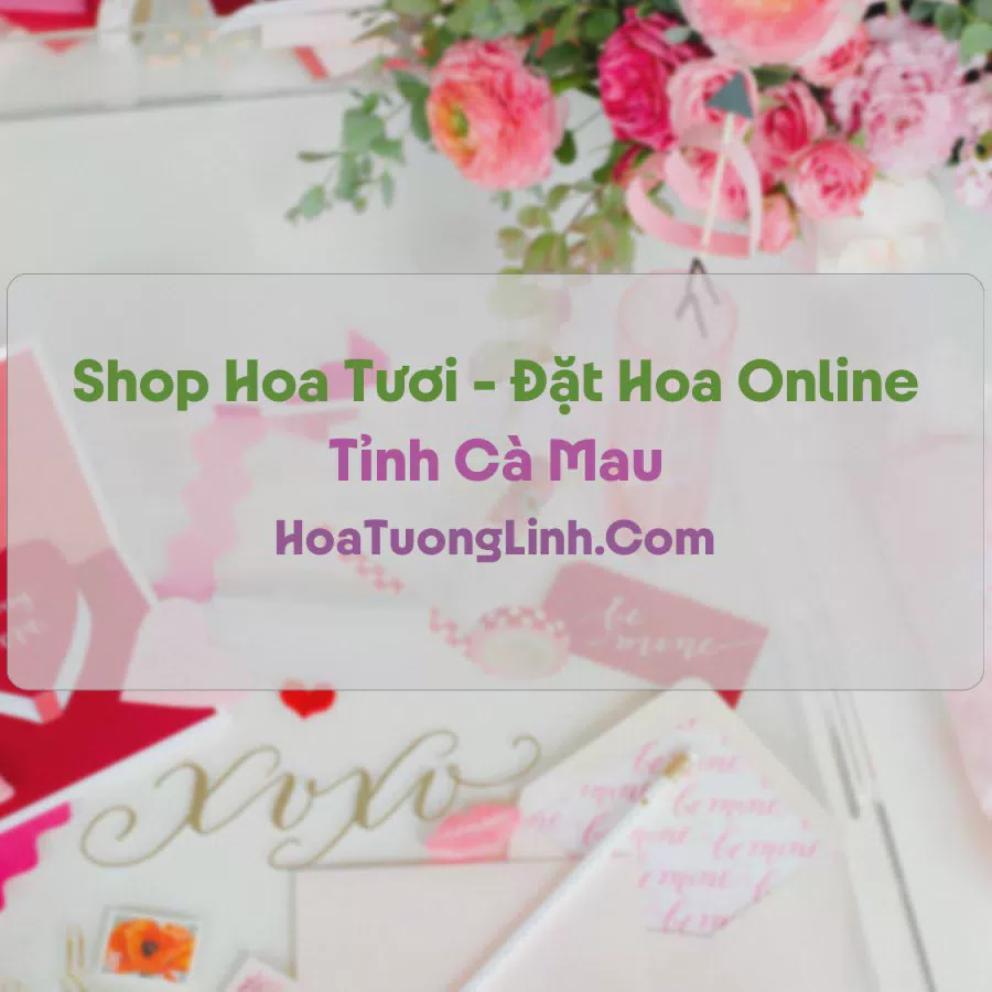 Shop Hoa Tươi Tại Cà Mau - Điện Hoa Tận Nơi