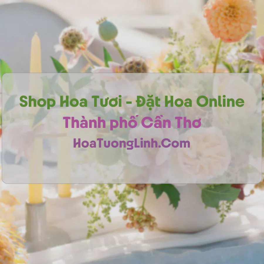 Shop Hoa Tươi Tại Cần Thơ - Điện Hoa Tận Nơi