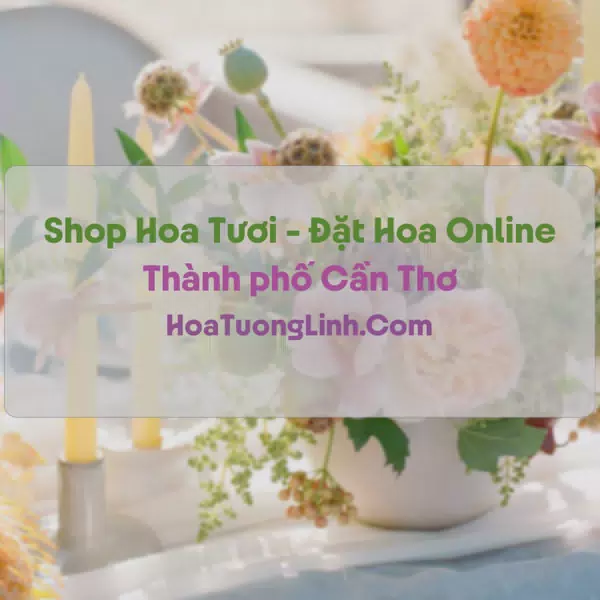 Shop Hoa Tươi Tại Cần Thơ - Điện Hoa Tận Nơi