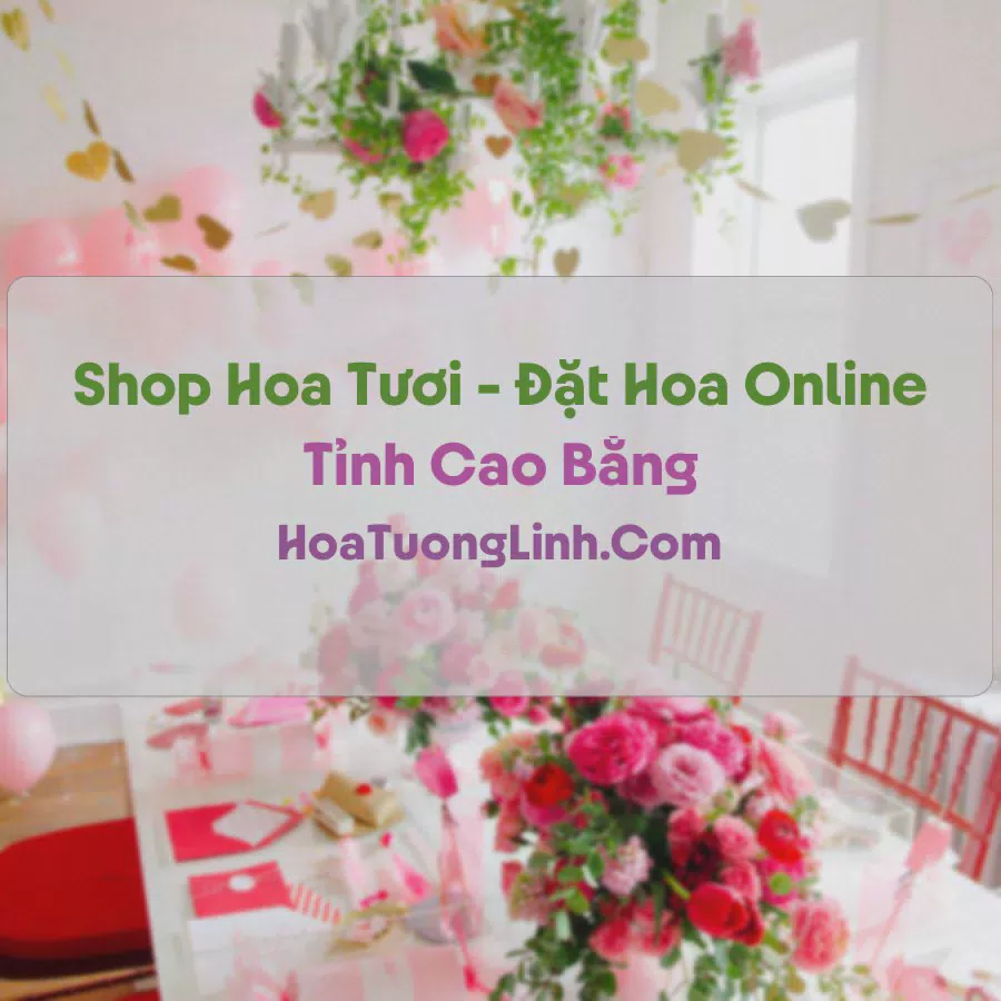 Shop Hoa Tươi Tại Cao Bằng - Điện Hoa Tận Nơi