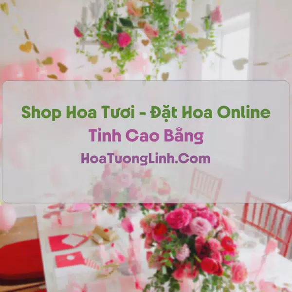 Shop Hoa Tươi Tại Cao Bằng - Điện Hoa Tận Nơi