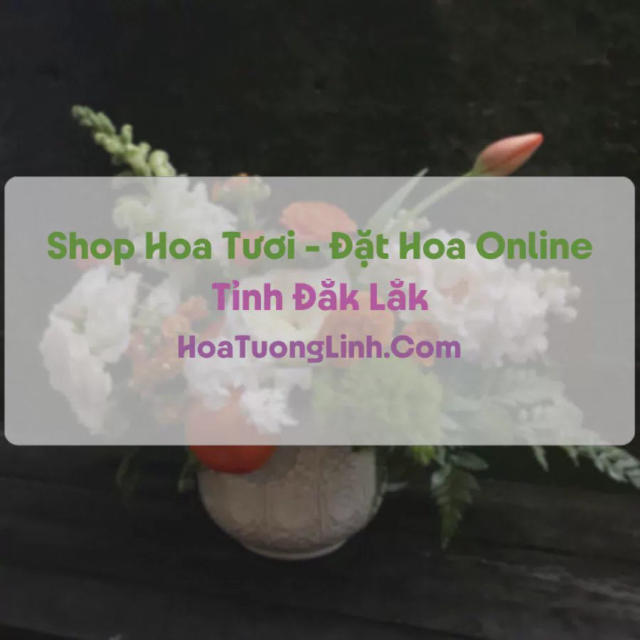 Shop Hoa Tươi Tại Đắk Lắk - Điện Hoa Tận Nơi