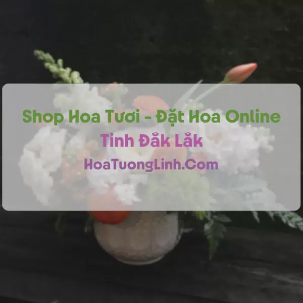 Shop Hoa Tươi Tại Đắk Lắk - Điện Hoa Tận Nơi
