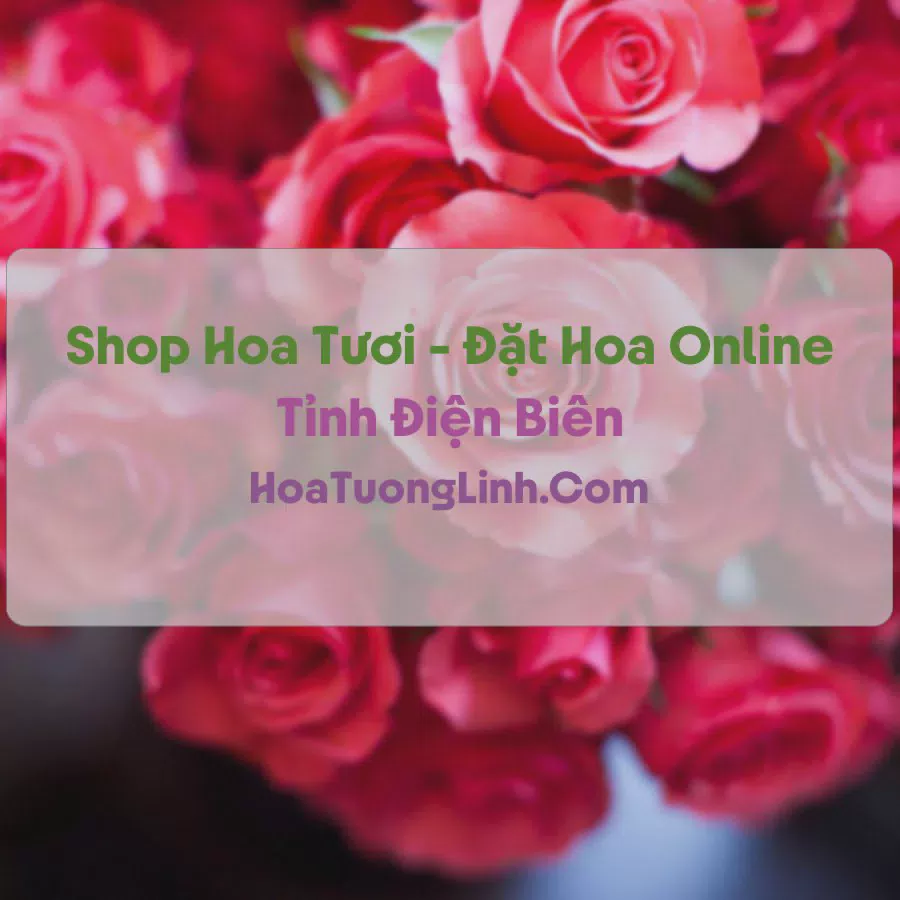Shop Hoa Tươi Tại Điện Biên - Điện Hoa Tận Nơi