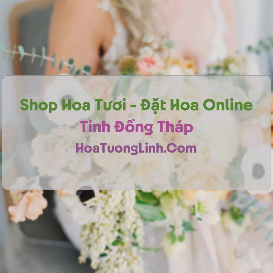 Shop Hoa Tươi Tại Đồng Tháp - Điện Hoa Tận Nơi