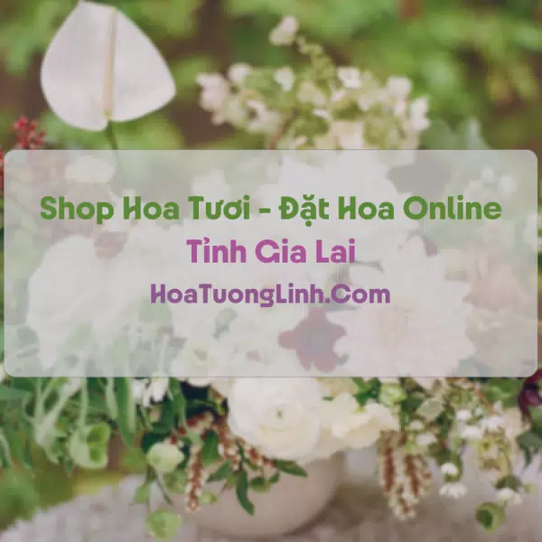 Shop Hoa Tươi Tại Gia Lai - Điện Hoa Tận Nơi