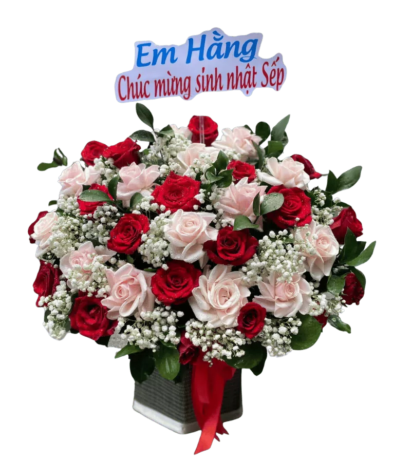 Giỏ hoa hồng đỏ trắng baby sinh nhật