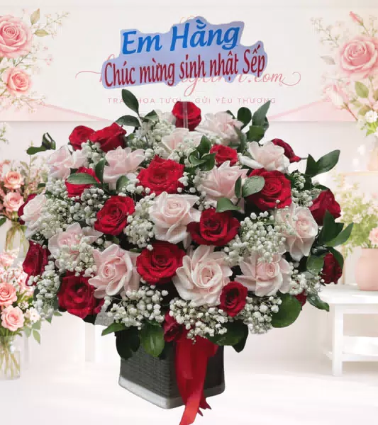 Giỏ hoa hồng đỏ trắng baby sinh nhật
