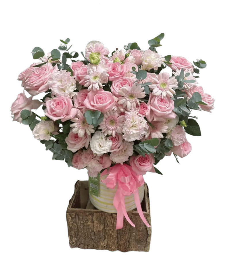 Giỏ hoa hồng phấn đồng tiền trắng vỏ cây