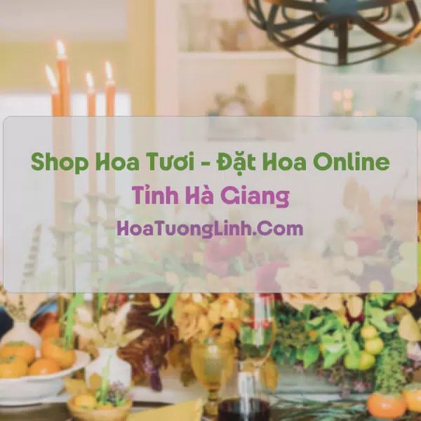 Shop Hoa Tươi Tại Hà Giang - Điện Hoa Tận Nơi
