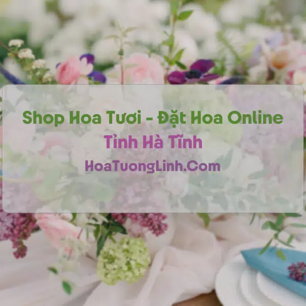 Shop Hoa Tươi Tại Hà Tĩnh - Điện Hoa Tận Nơi