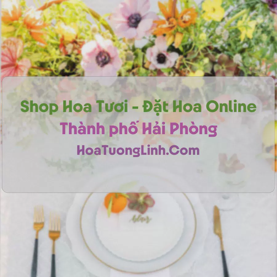 Shop Hoa Tươi Tại Hải Phòng - Điện Hoa Tận Nơi