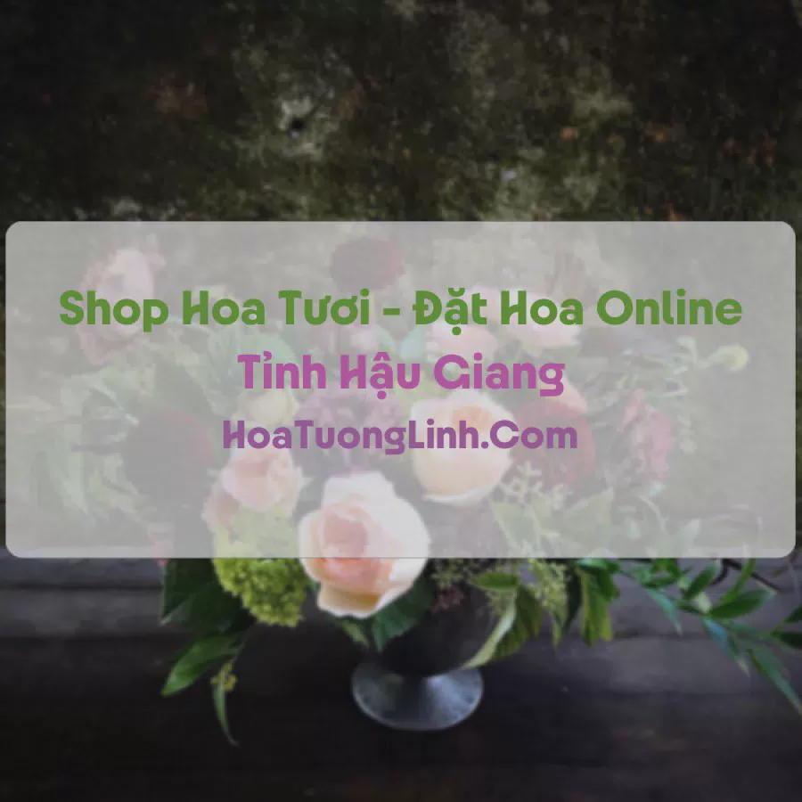 Shop Hoa Tươi Tại Hậu Giang - Điện Hoa Tận Nơi