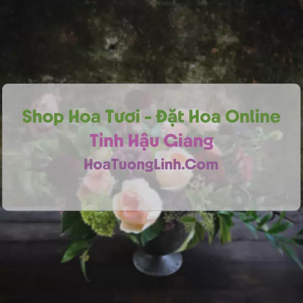 Shop Hoa Tươi Tại Hậu Giang - Điện Hoa Tận Nơi