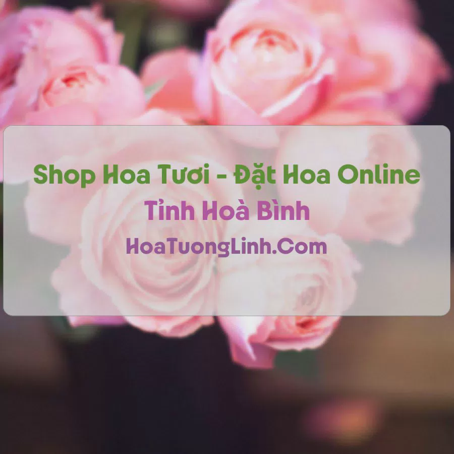 Shop Hoa Tươi Tại Hoà Bình - Điện Hoa Tận Nơi