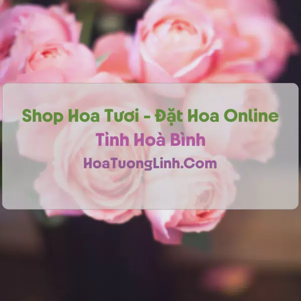 Shop Hoa Tươi Tại Hoà Bình - Điện Hoa Tận Nơi