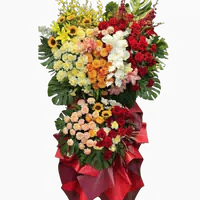 Hoa Khai Trương