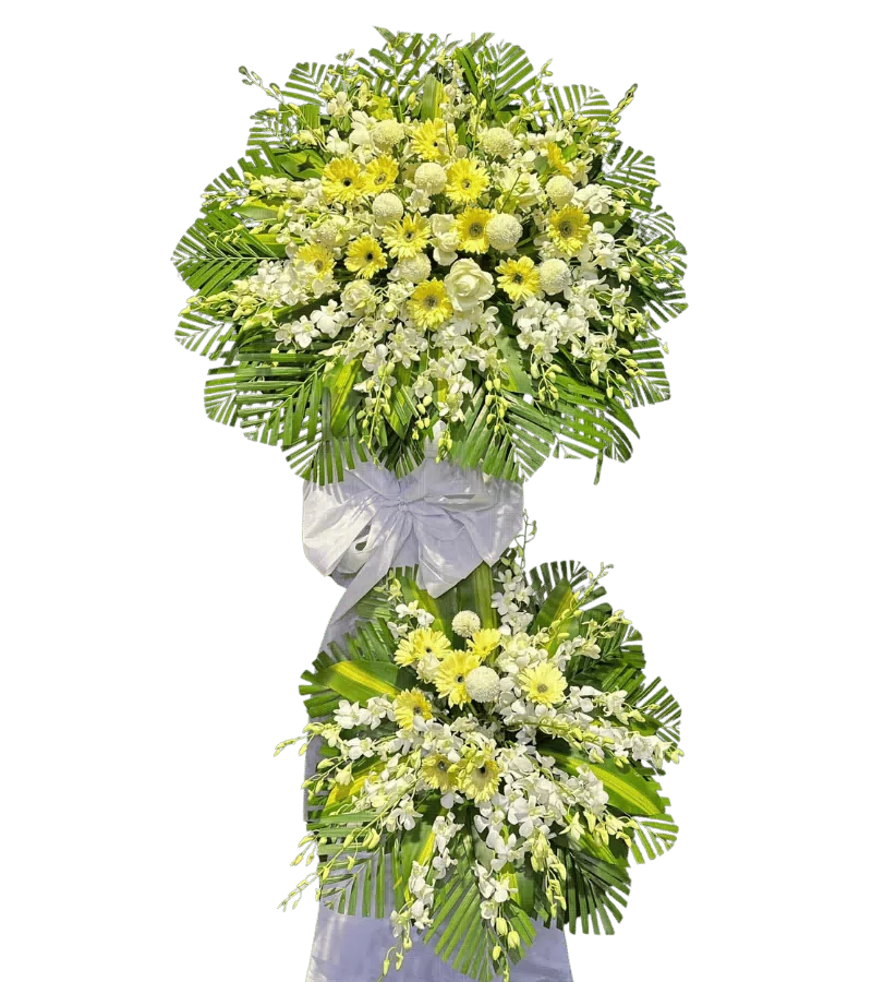 Kệ hoa chia buồn đồng tiền vàng lan trắng