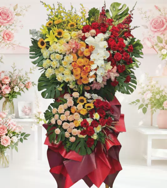 Kệ hoa khai trương nhiều màu phối lan trắng
