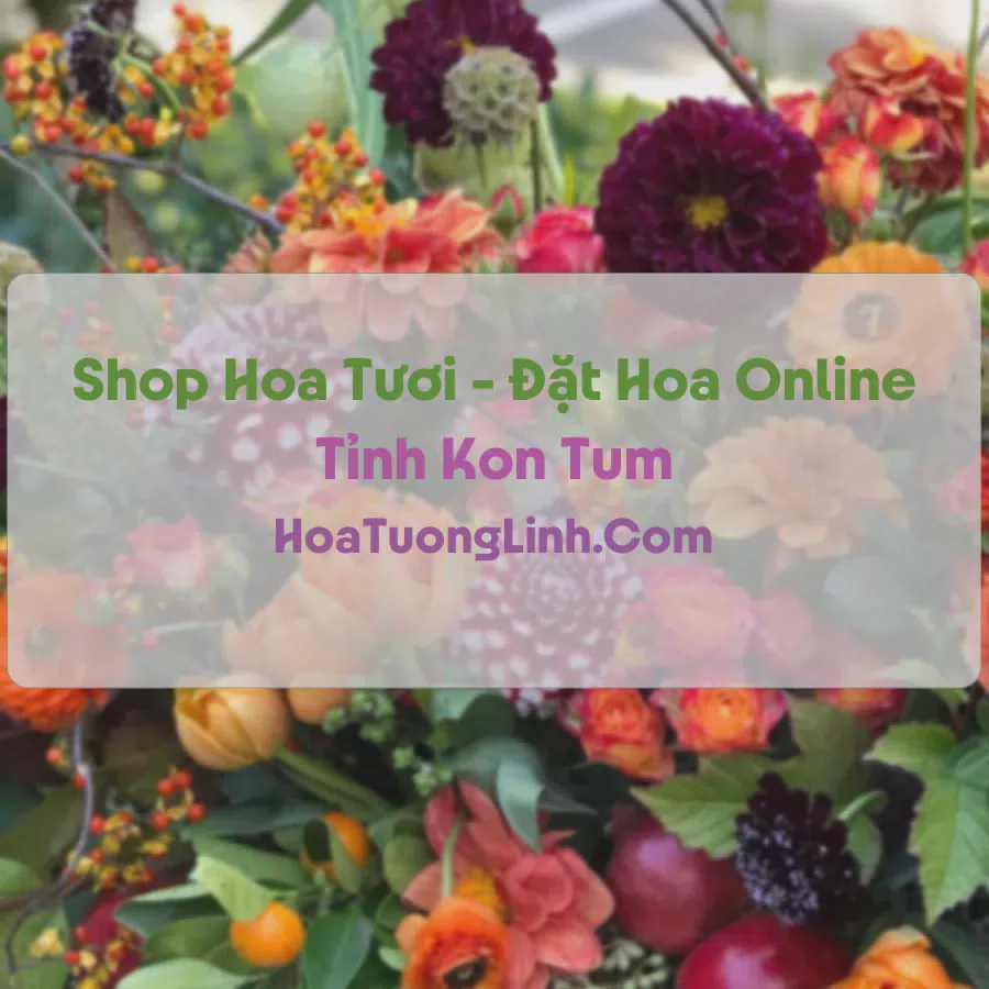 Shop Hoa Tươi Tại Kon Tum - Điện Hoa Tận Nơi