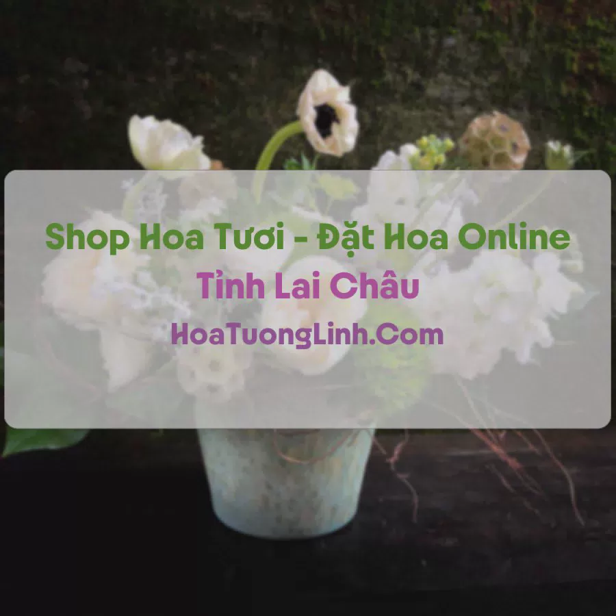 Shop Hoa Tươi Tại Lai Châu - Điện Hoa Tận Nơi