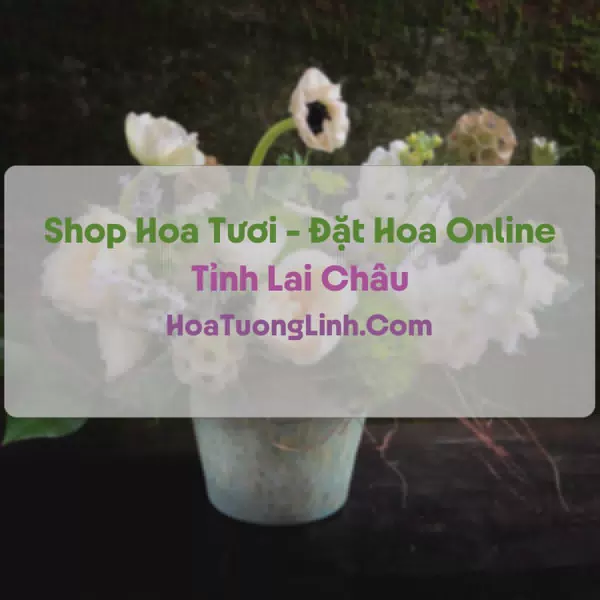 Shop Hoa Tươi Tại Lai Châu - Điện Hoa Tận Nơi