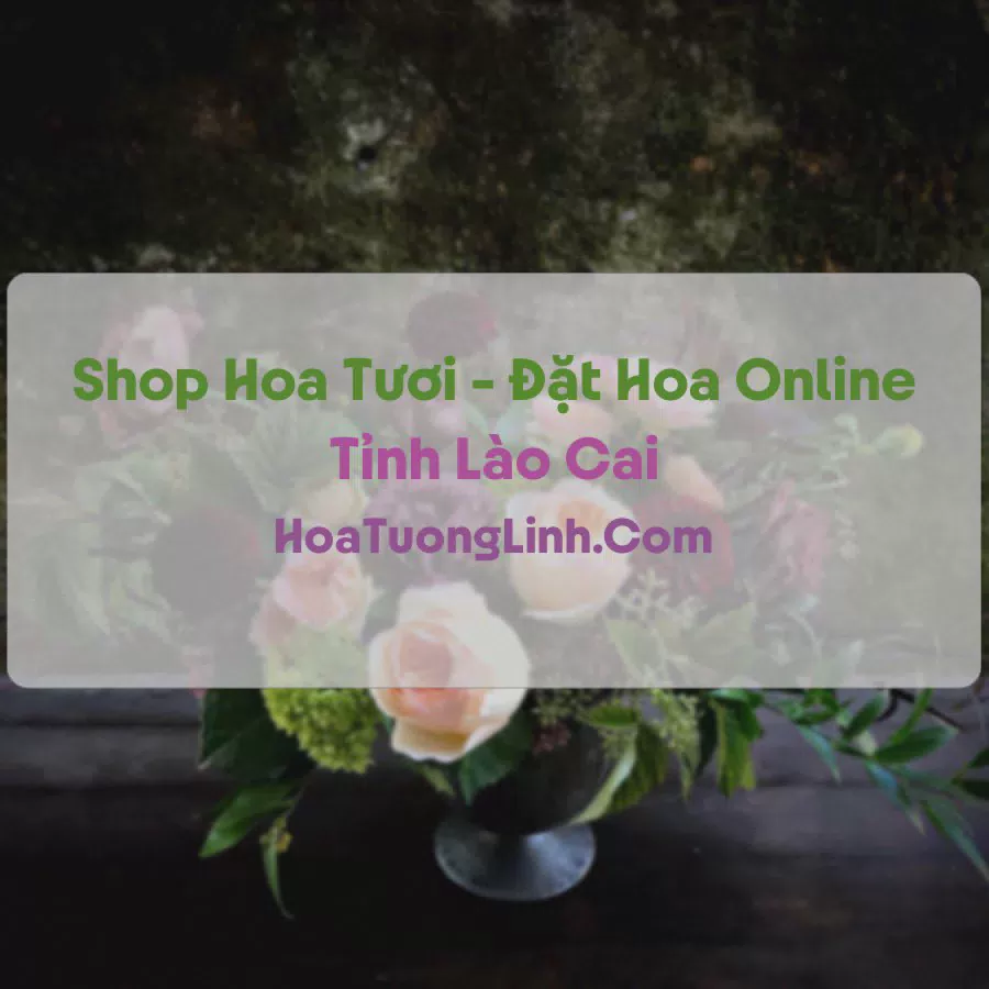 Shop Hoa Tươi Tại Lào Cai - Điện Hoa Tận Nơi