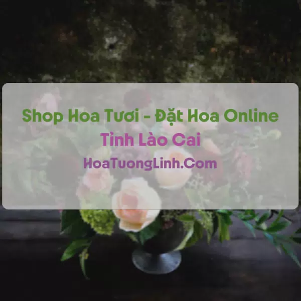 Shop Hoa Tươi Tại Lào Cai - Điện Hoa Tận Nơi