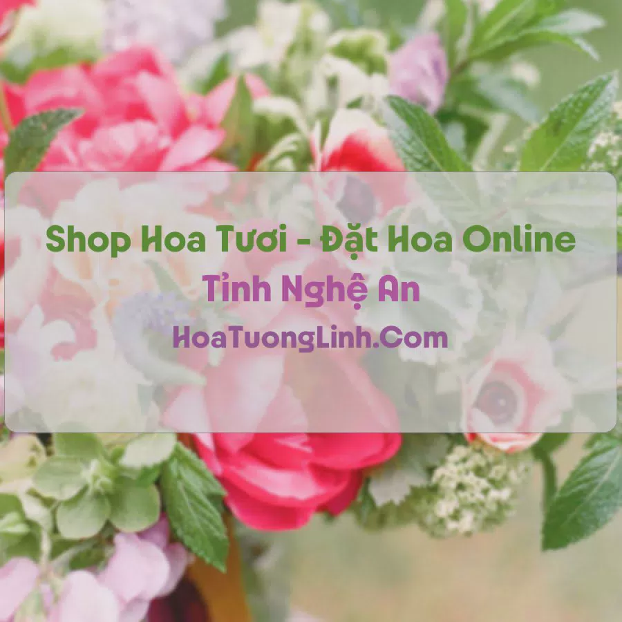 Shop Hoa Tươi Tại Nghệ An - Điện Hoa Tận Nơi