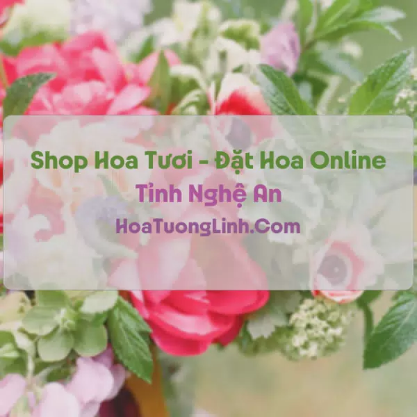 Shop Hoa Tươi Tại Nghệ An - Điện Hoa Tận Nơi