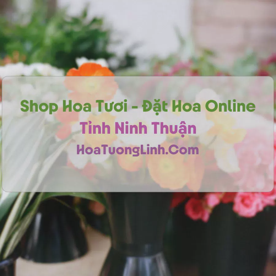 Shop Hoa Tươi Tại Ninh Thuận - Điện Hoa Tận Nơi