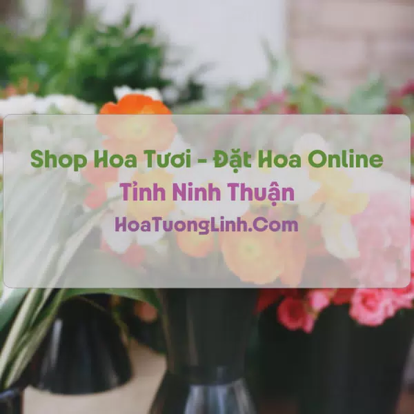 Shop Hoa Tươi Tại Ninh Thuận - Điện Hoa Tận Nơi