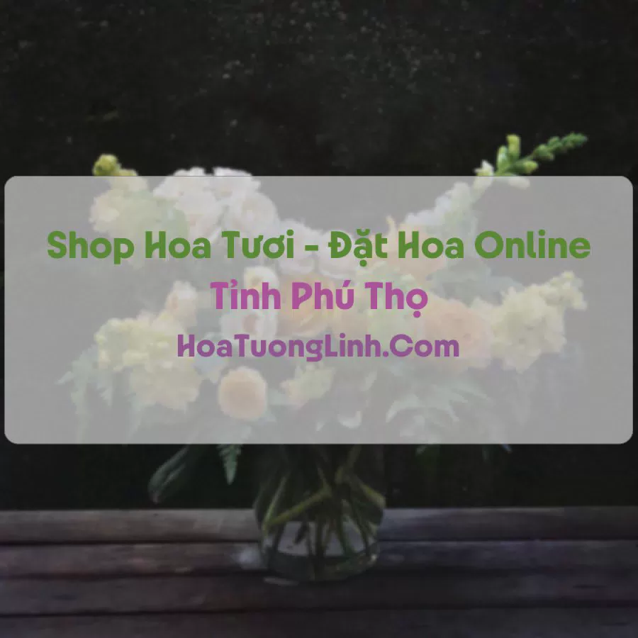 Shop Hoa Tươi Tại Phú Thọ - Điện Hoa Tận Nơi