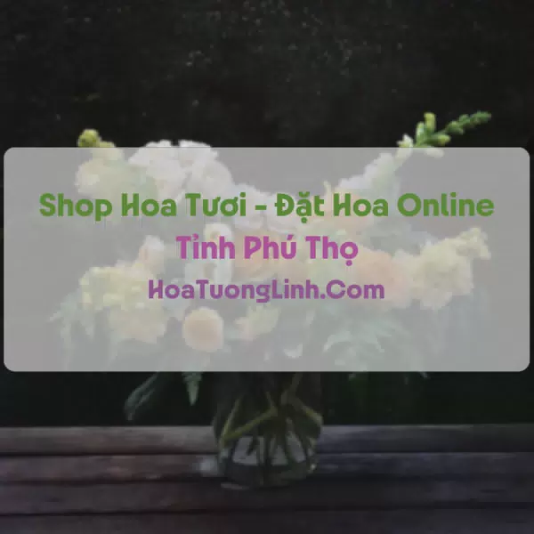 Shop Hoa Tươi Tại Phú Thọ - Điện Hoa Tận Nơi