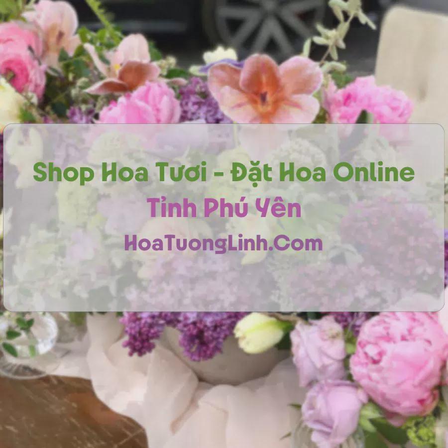 Shop Hoa Tươi Tại Phú Yên - Điện Hoa Tận Nơi
