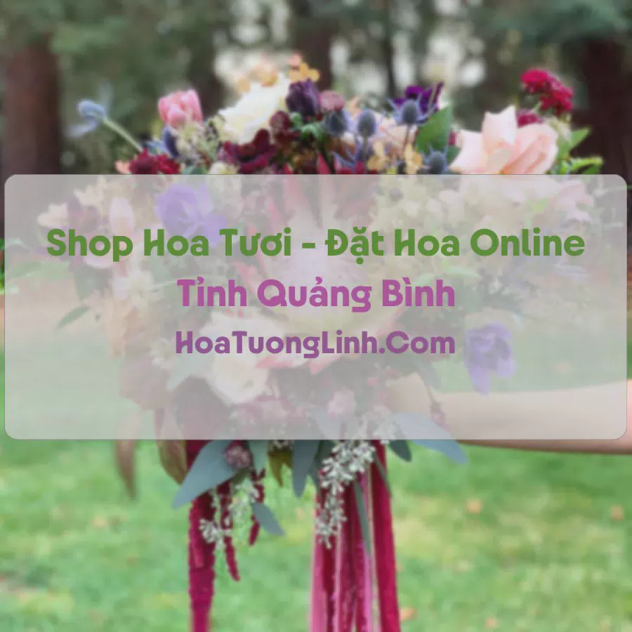 Shop Hoa Tươi Tại Quảng Bình - Điện Hoa Tận Nơi