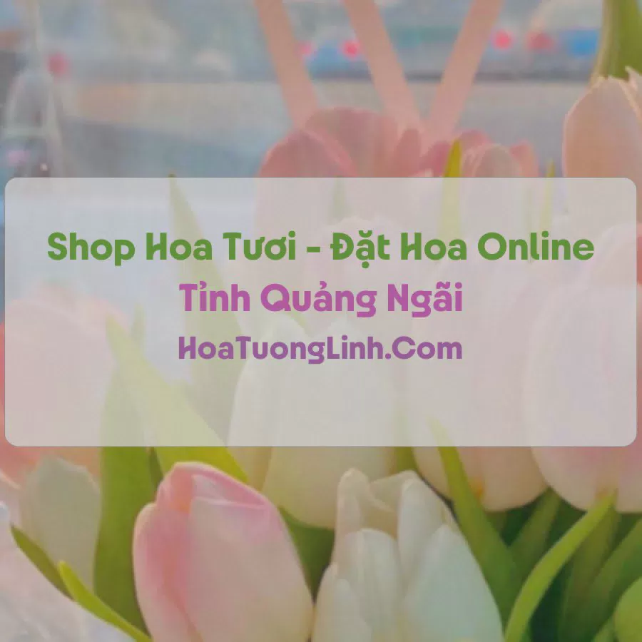 Shop Hoa Tươi Tại Quảng Ngãi - Điện Hoa Tận Nơi