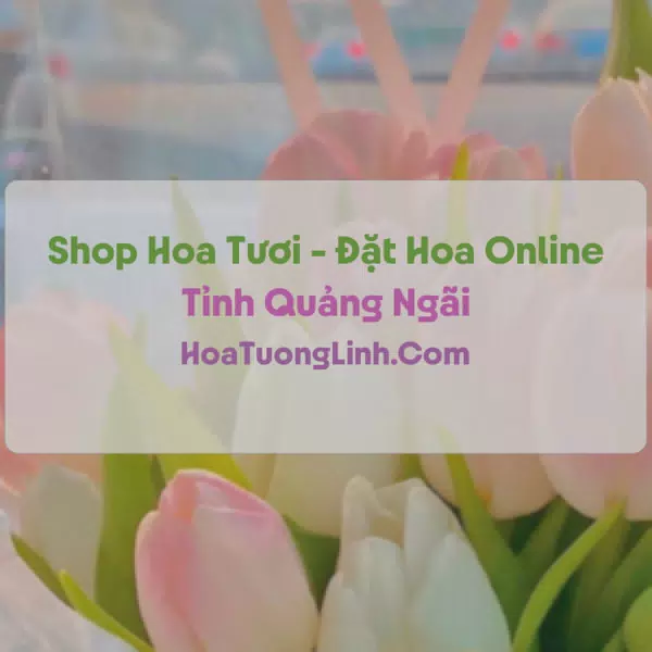 Shop Hoa Tươi Tại Quảng Ngãi - Điện Hoa Tận Nơi