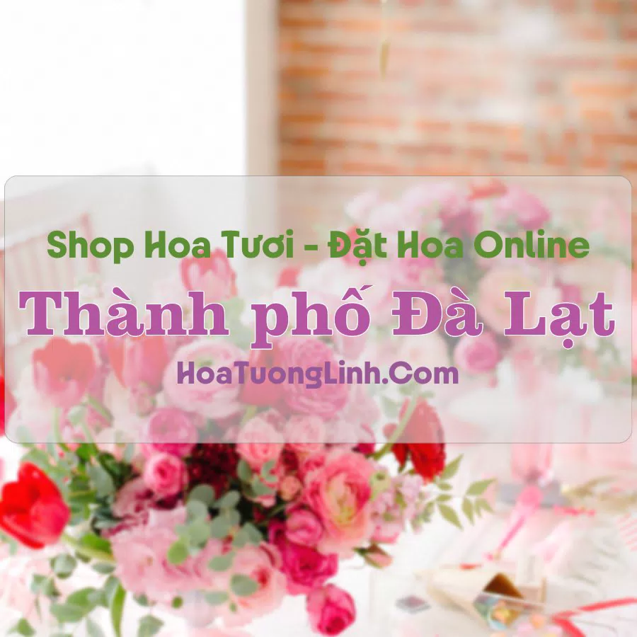 Shop Hoa Tươi TP Đà Lạt – Lâm Đồng