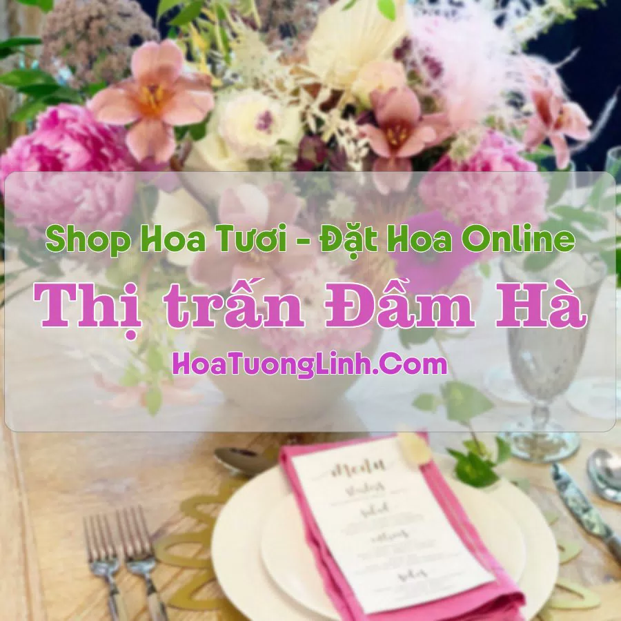 Shop Hoa Tươi Thị Trấn Đầm Hà – Quảng Ninh