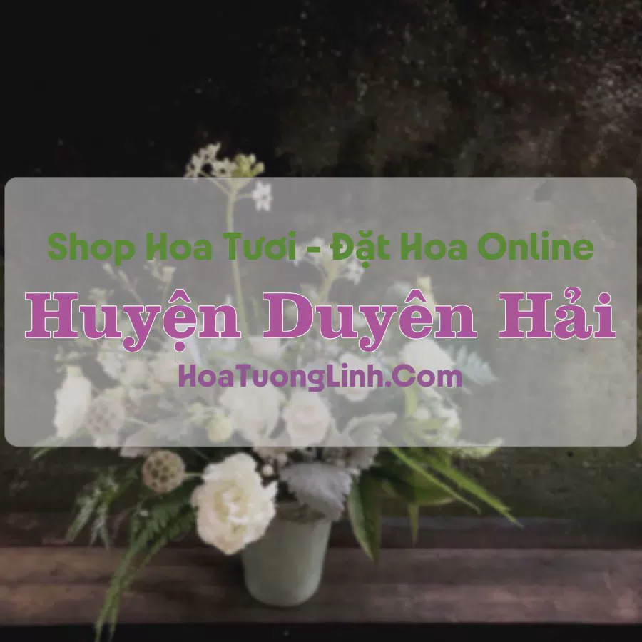 Shop Hoa Tươi Duyên Hải - Trà Vinh