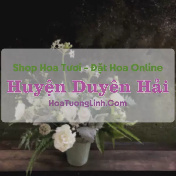 Shop Hoa Tươi Duyên Hải - Trà Vinh