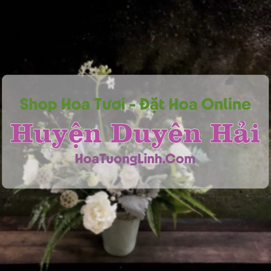 Shop Hoa Tươi Duyên Hải – Trà Vinh