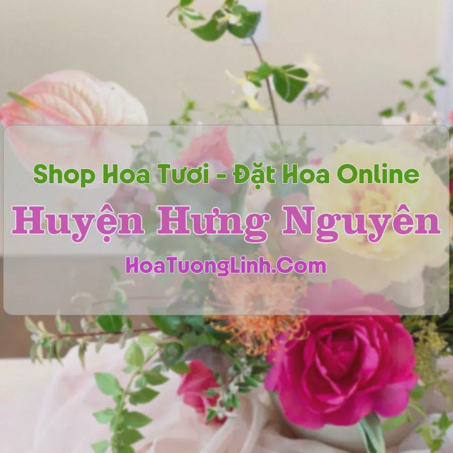 Shop Hoa Tươi Huyện Hưng Nguyên - Nghệ An