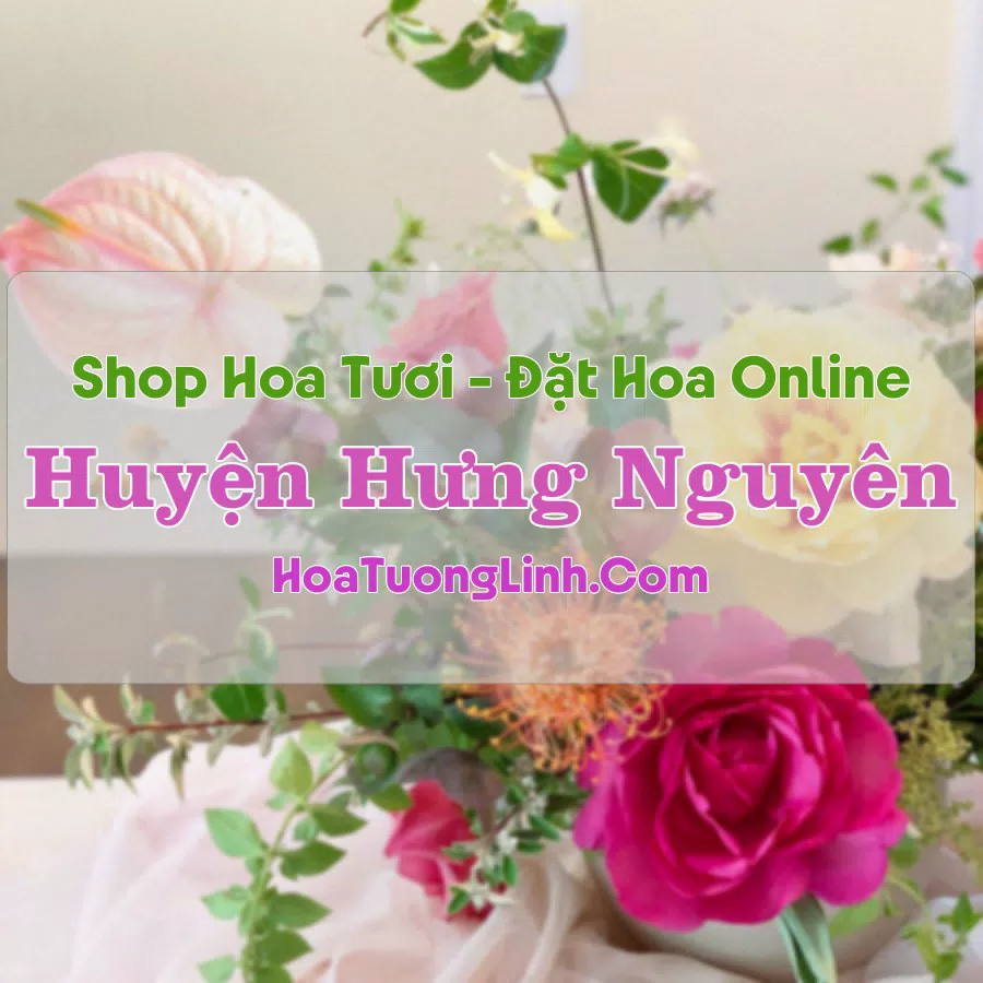 Shop Hoa Tươi Huyện Hưng Nguyên – Nghệ An